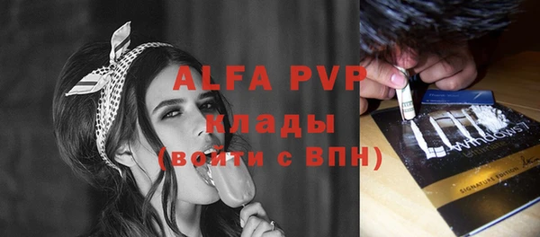 гидра Зеленокумск