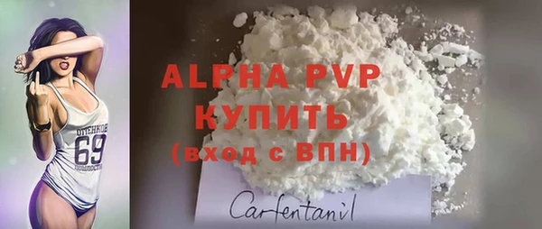 гидра Зеленокумск