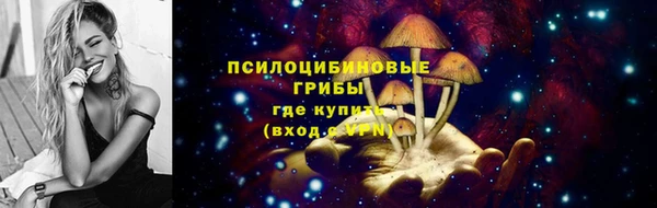 гидра Зеленокумск