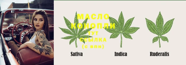 гидра Зеленокумск