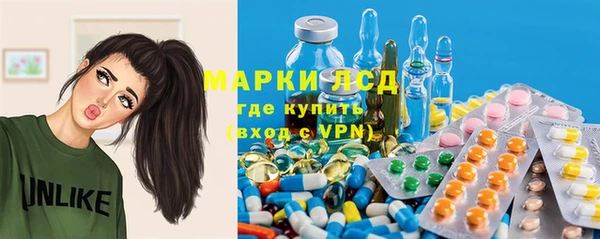 гидра Зеленокумск