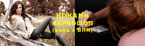 гидра Зеленокумск