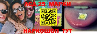 a pvp Гатчина