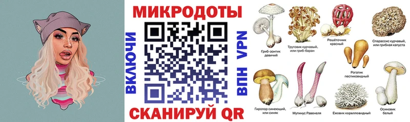 Галлюциногенные грибы Psilocybine cubensis Каменск-Шахтинский