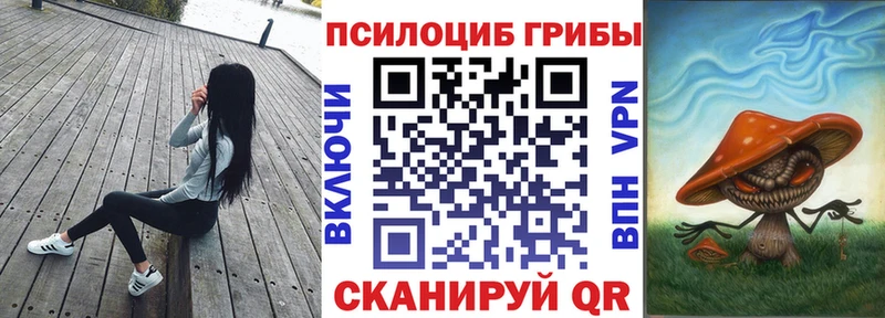 Галлюциногенные грибы Psilocybine cubensis  Купить где  Каменск-Шахтинский 