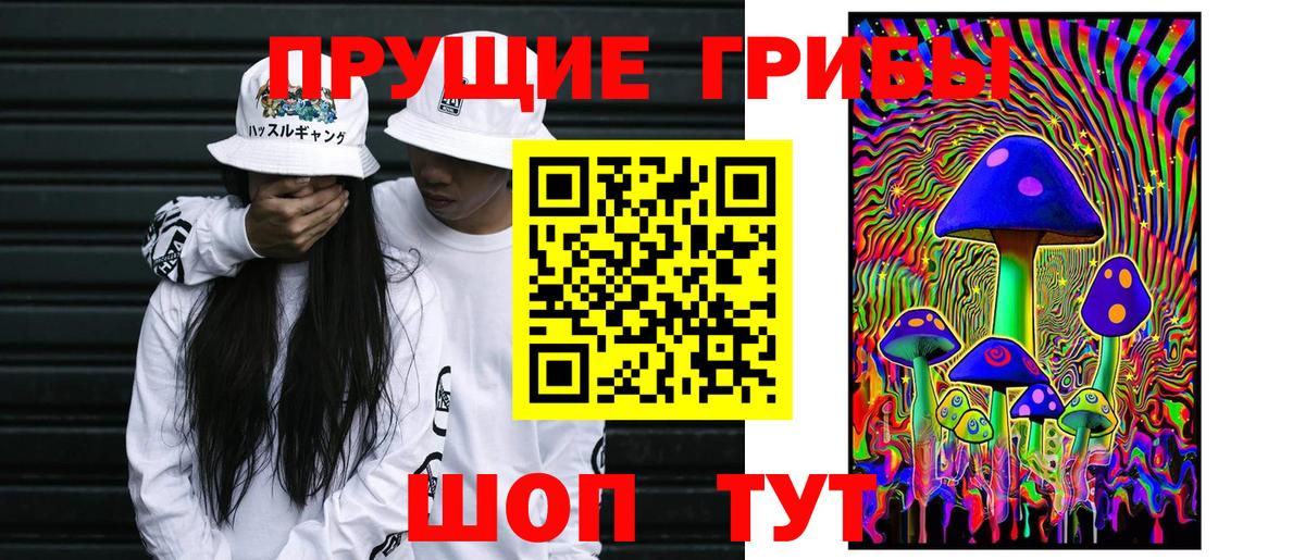 Псилоцибиновые грибы MAGIC MUSHROOMS Каменск-Шахтинский
