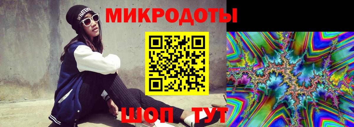 Псилоцибиновые грибы Psilocybe  Вход с VPN  Каменск-Шахтинский 